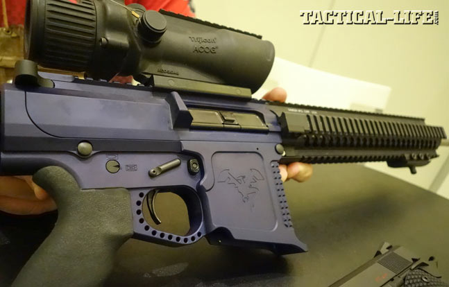 Doublestar Corp. DSC AR-10 .308 | 11 New Rifles for 2014