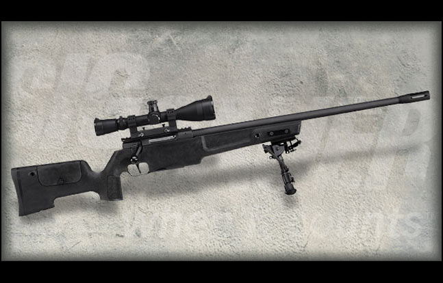 Sig Sauer SSG3000 | 12 Rifles, Machine Guns, Shotguns, & Pistols Used by ROK Marines