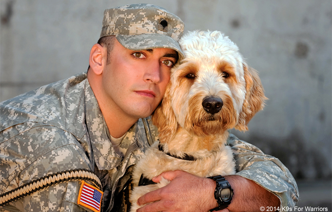K9s For Warriors | Alex & Skip