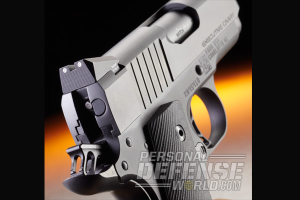 Para Executive Carry 1911 .45 ACP | Rear Sight