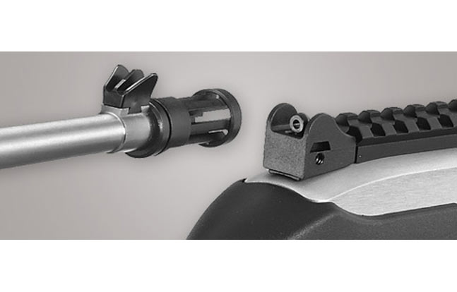 Ruger 10/22 50th Anniversary Rifle - sights