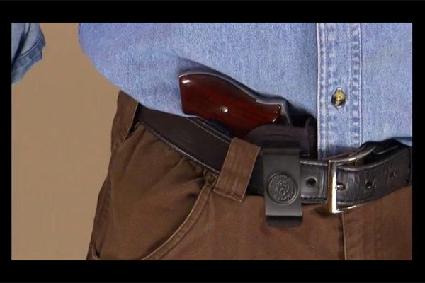 Desantis Pro Stealth Holster