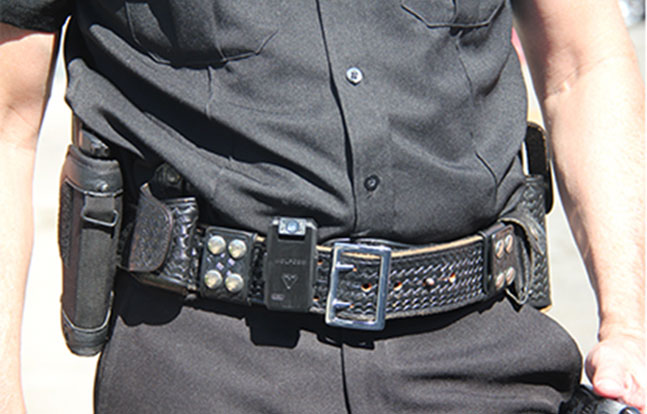 Wolfcom Vision Belt