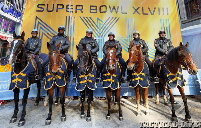 Super Bowl horses lead