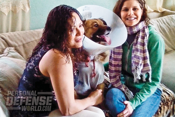 8 Everyday Heroes: Watchdogs on Duty