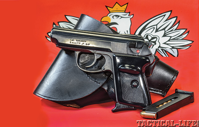 Polish P-64 Pistol 2014 full lead