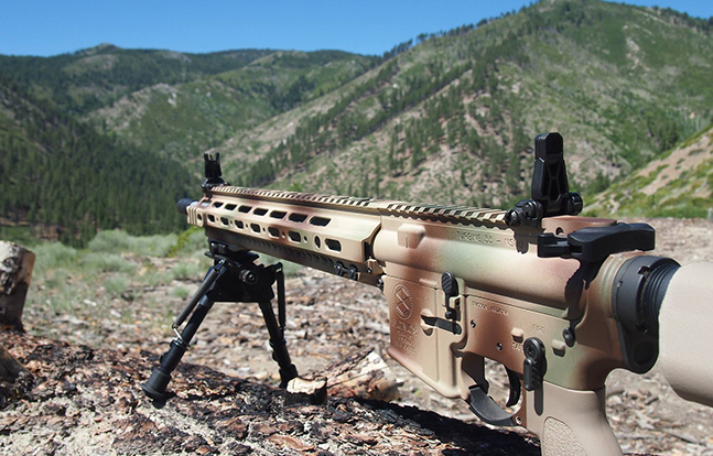 Axelson Tactical AXE Special Purpose Rifle lead