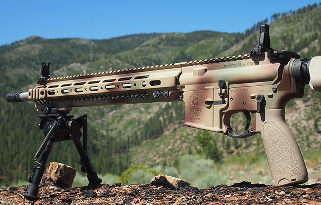 Axelson Tactical AXE Special Purpose Rifle left