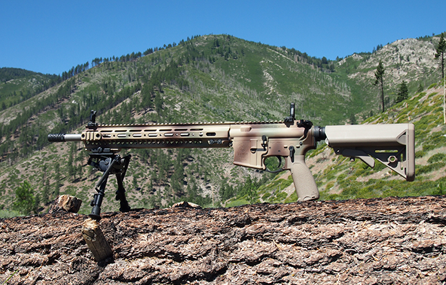 Axelson Tactical AXE Special Purpose Rifle focus