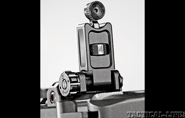 Custom AR BG2015 rear