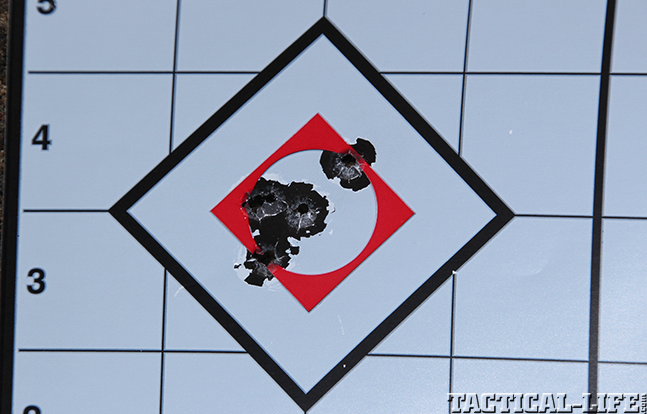 SIG556xi Amselle target