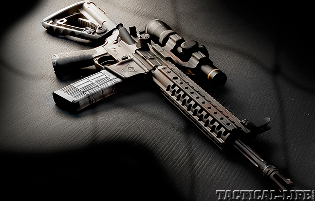 Wilson Combat Warriors BG 2015 camo