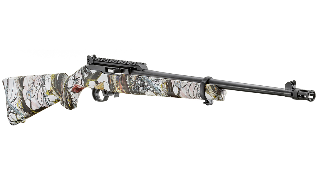 5th Edition Ruger Collector's Series 10/22
