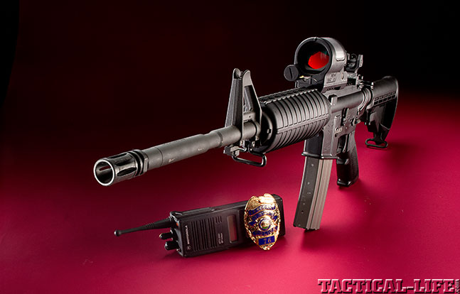 DoubleStar Dominators lead