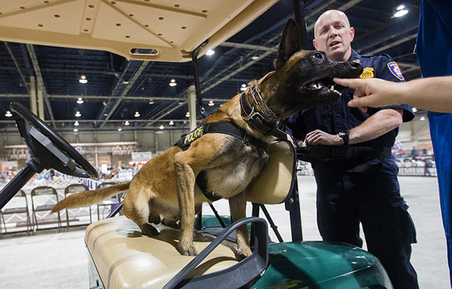 Harrisburg Police K-9