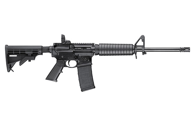 MP15 BG 2015 M&P15 Sport