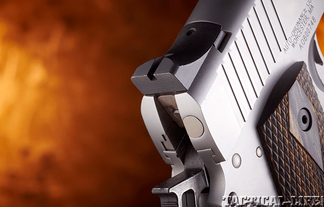 Thompson Custom 1911 Gun Annual hammer rear sight