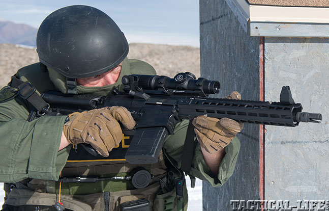 11 Back Up Iron Sights lead