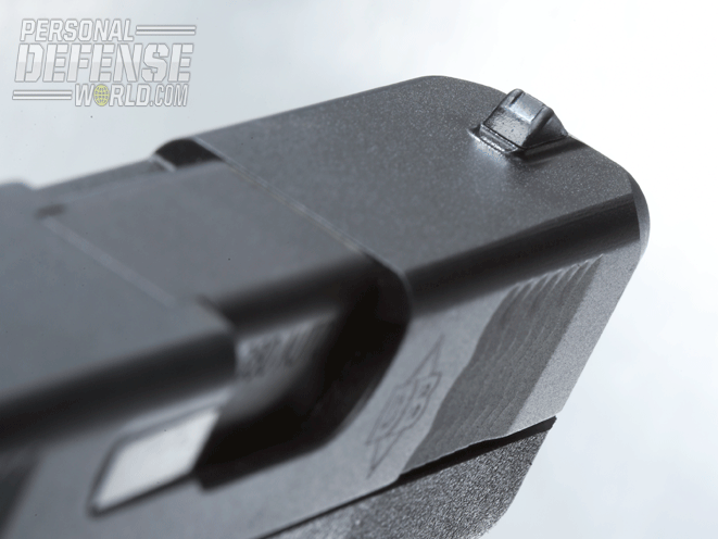 Diamondback DB380 front sights