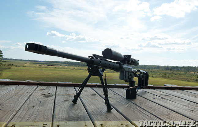 Caracal CS 308 sneak left