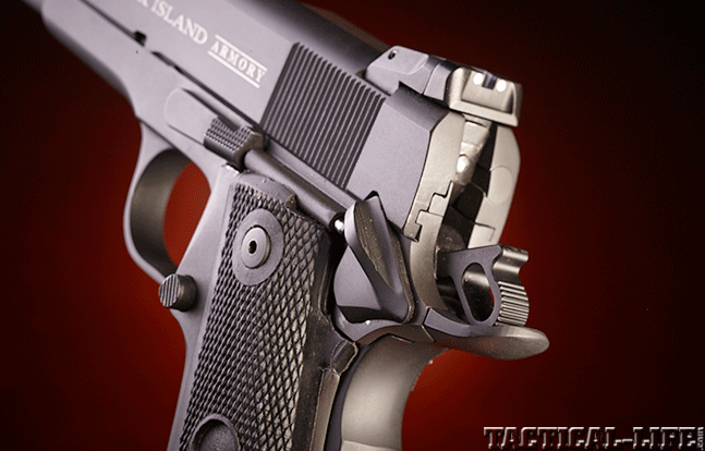 Rock Island Armory .22 TCM Gun Annual hammer