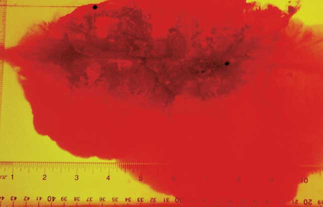 TW Dec Black Hills impact