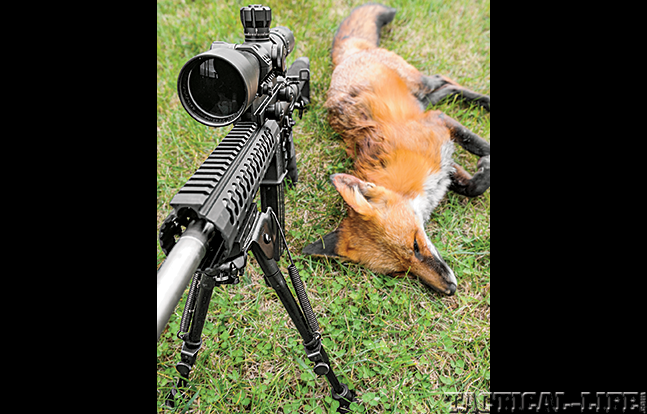 DoubleStar StarCar A3 AR 2015 fox