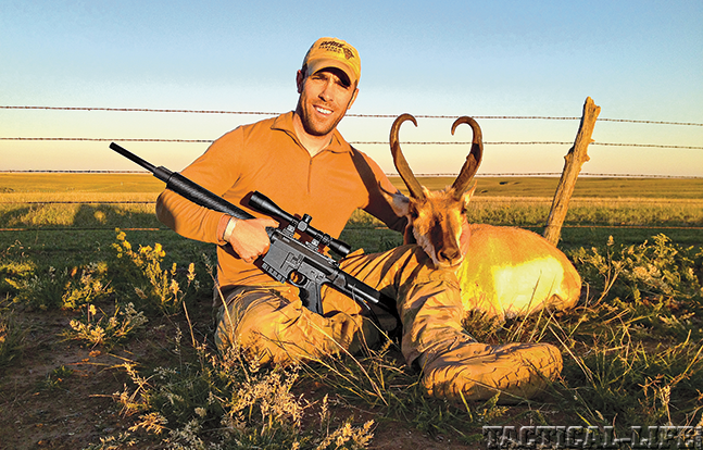 DPMS GII AR 2015 antelope