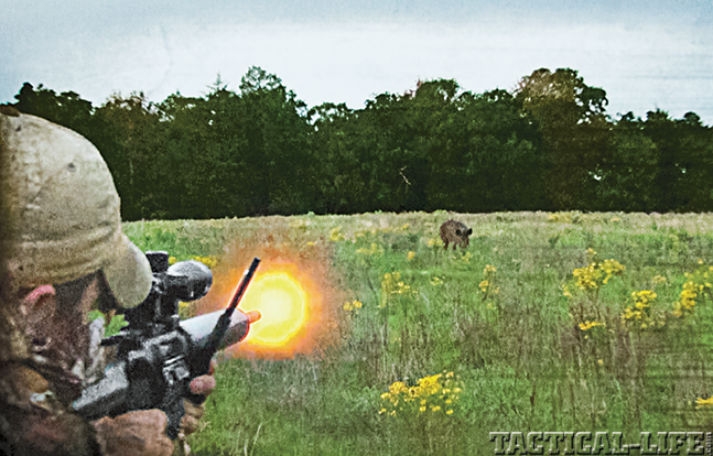 DPMS GII AR 2015 field