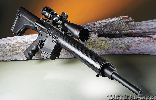 DPMS GII AR 2015 lead