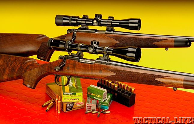 Remington Model 700 GBA 2015 lead