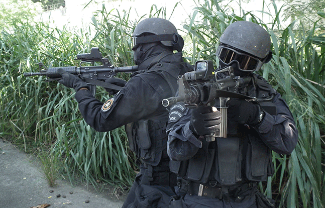 ArmaLite AR-10A4 specs