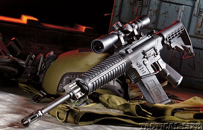 Armalite DSR 10 SWMP Jan 2015 lead