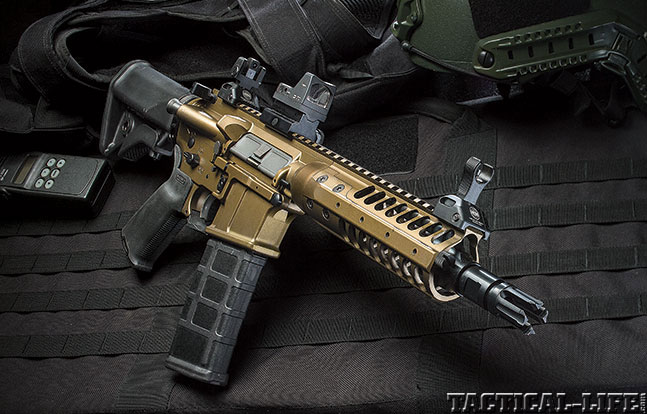 LWRCI IC-PSD TW March 2015 lead