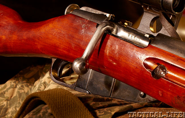 M91 historical top 10 2014 bolt