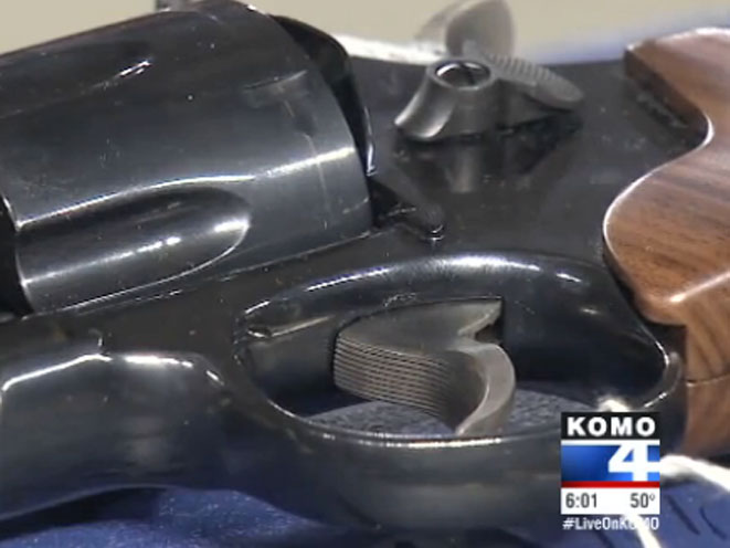 i-594, i-594 background check, i-594 gun background check, gun background check