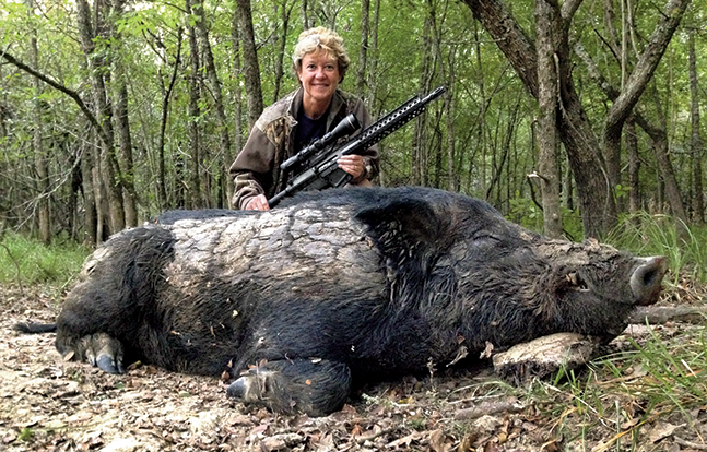 Wilson 308 AR 2015 hog