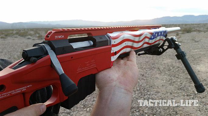 Ashbury Precision Ordnance F/TR-308 Patriot Rifle aim