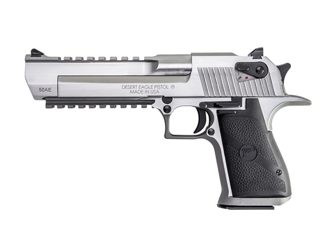 Magnum Research Desert Eagle .50 AE, desert eagle, stainless steel desert eagle