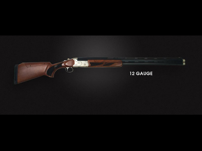 Pointer Clays Over/Under Shotgun, clays over/under