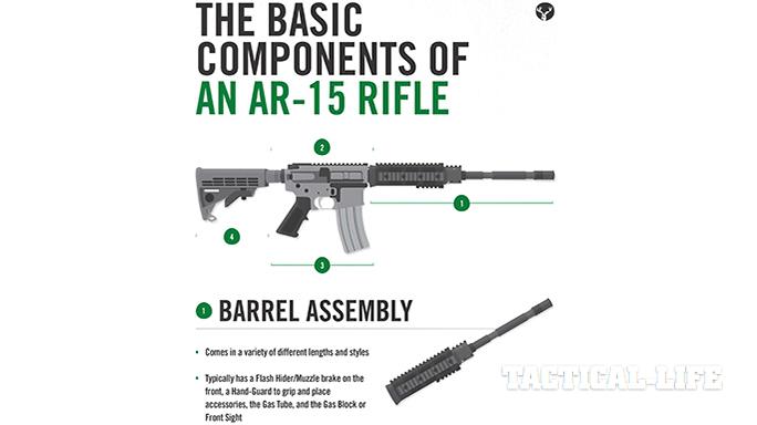 Stag Arms AR-15 infograph 1