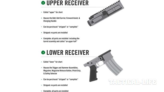 Stag Arms AR-15 infograph 2