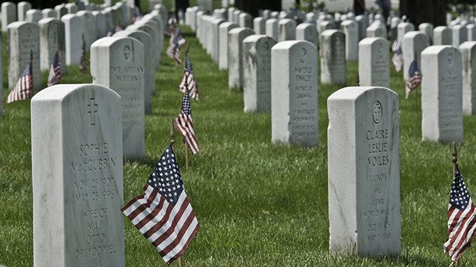 Flags In Ceremony 2015 Arlington National Cemetery
