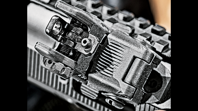 DPMS 3G2 Rifle GWLE June 2015 rear sight