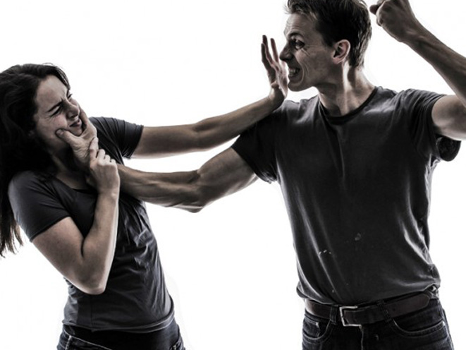 domestic assault, domestic violence, domestic abuse, armed citizen, domestic assault fight, fight