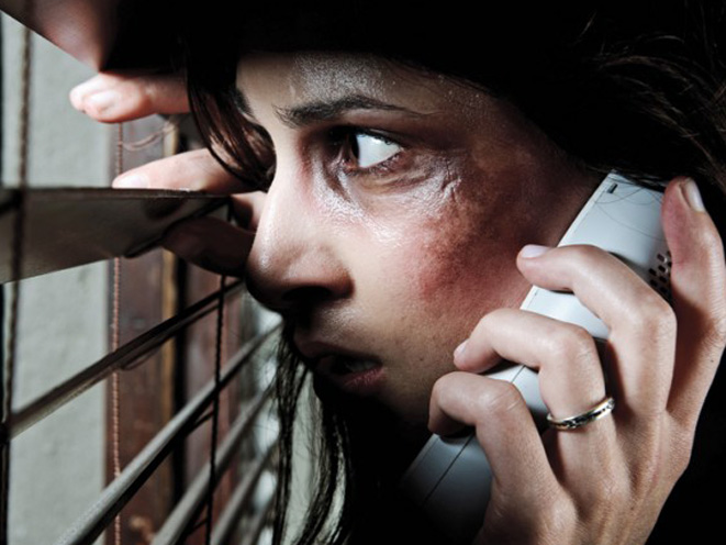 domestic assault, domestic violence, domestic abuse, armed citizen, domestic assault fight, 911