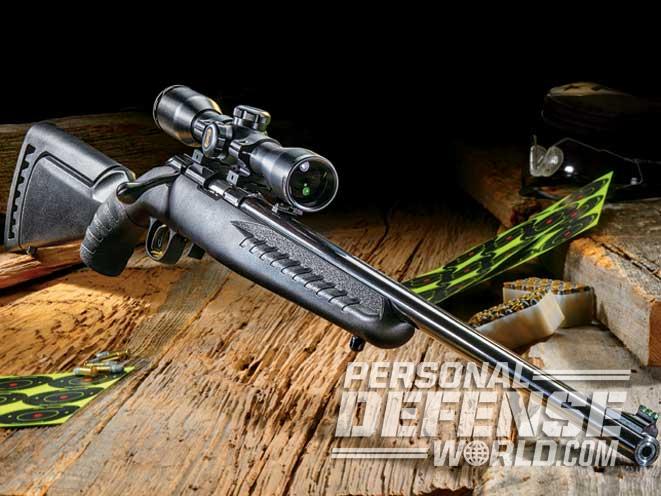 Ruger American Rimfire, Ruger American Rimfire rifle, american rimfire rifle, american rimfire rifle, ruger american rimfire beauty