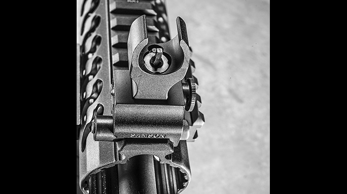 Del-Ton Evolution Rifle CBG 2016 front sights