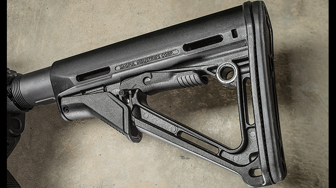 Del-Ton Evolution Rifle CBG 2016 stock
