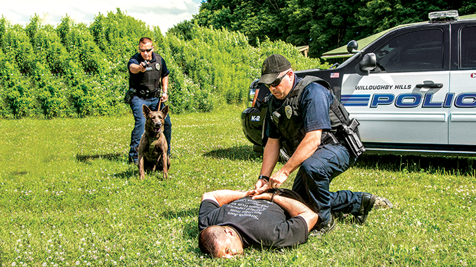 LEO Fatal Mistakes GWLE June 2015 lead